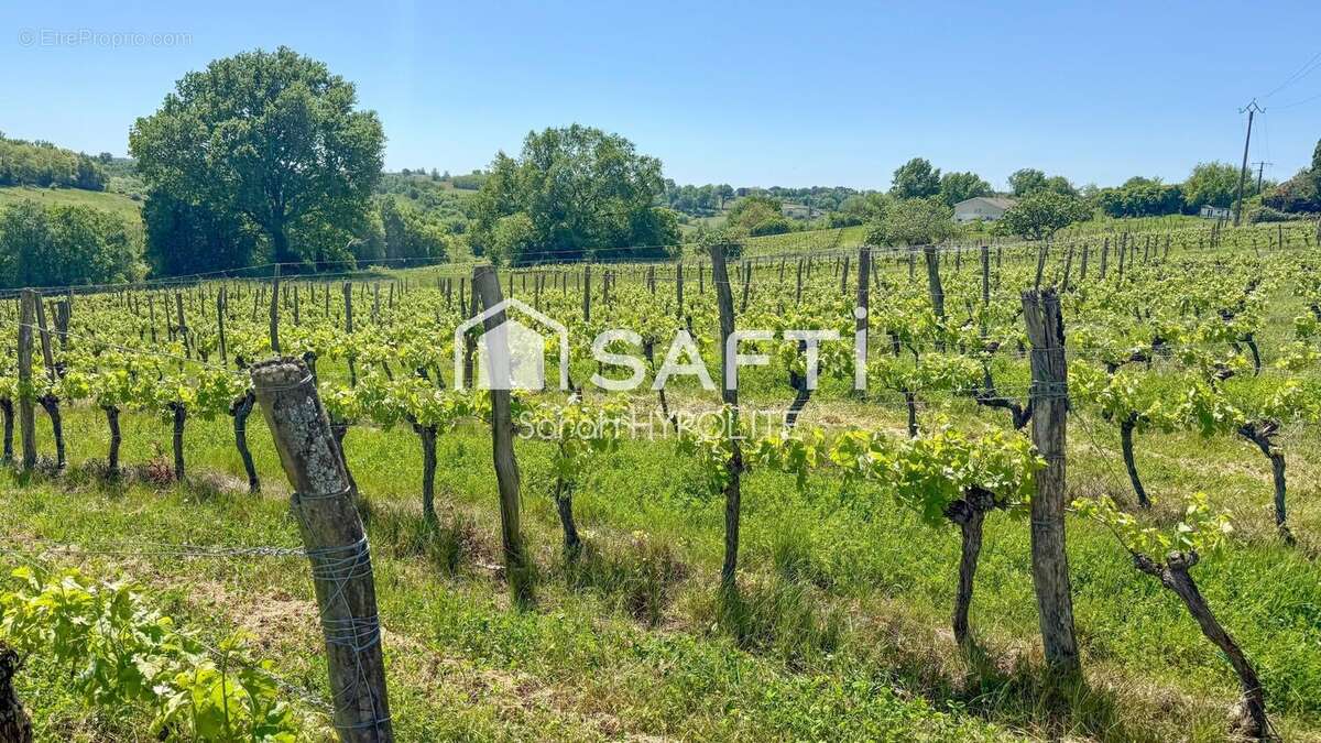 Photo 2 - Terrain à CREON