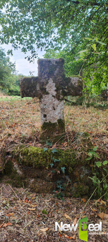 Exceptionnel Domaine sur 9ha en bordure d'étang - photo 30