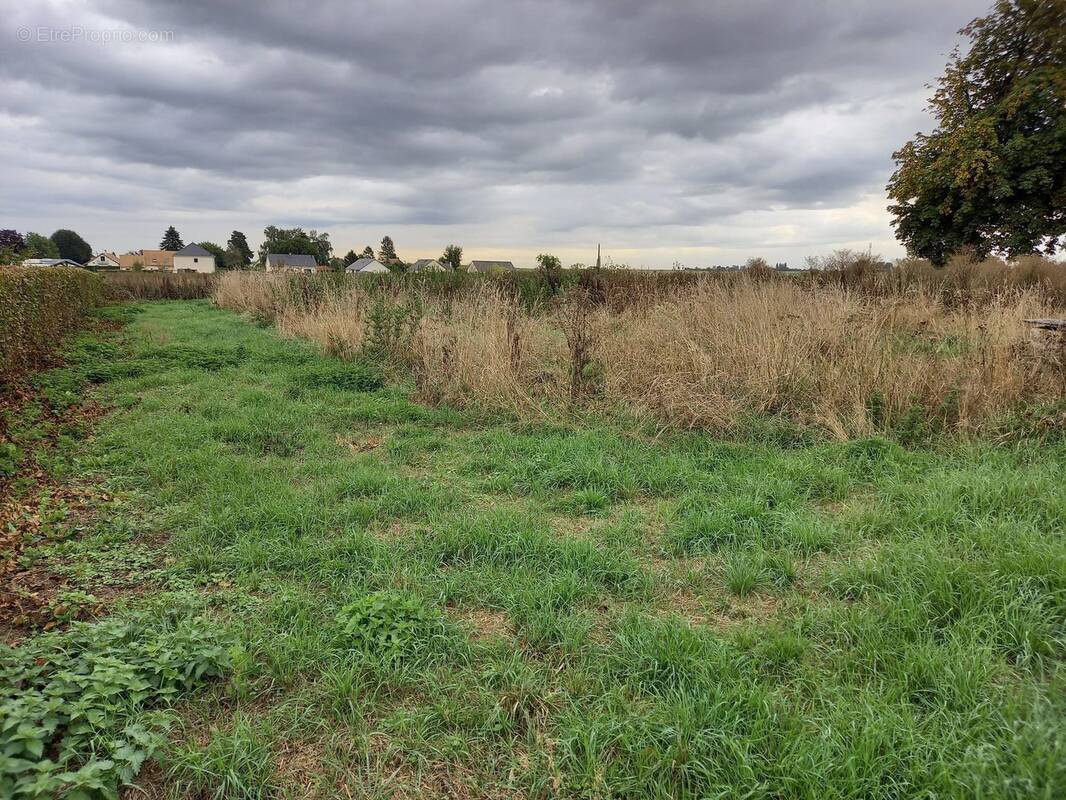 Terrain à VRAIVILLE