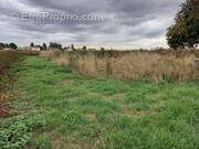 Terrain à VRAIVILLE