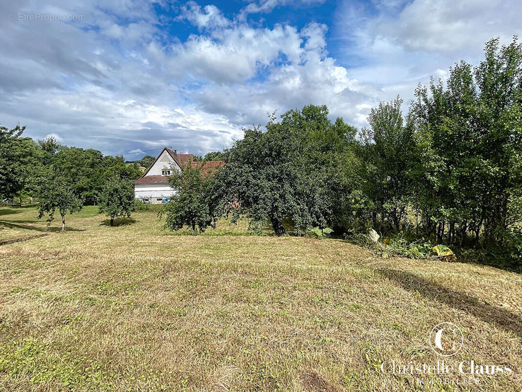 Terrain 586 m² - photo 3