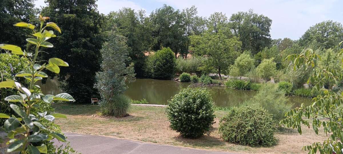 Belle propriété avec etang - photo 3