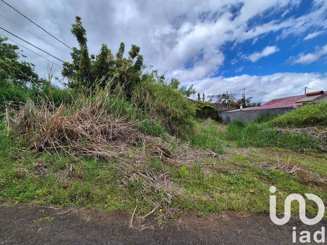 Photo 3 - Terrain à SAINT-LOUIS