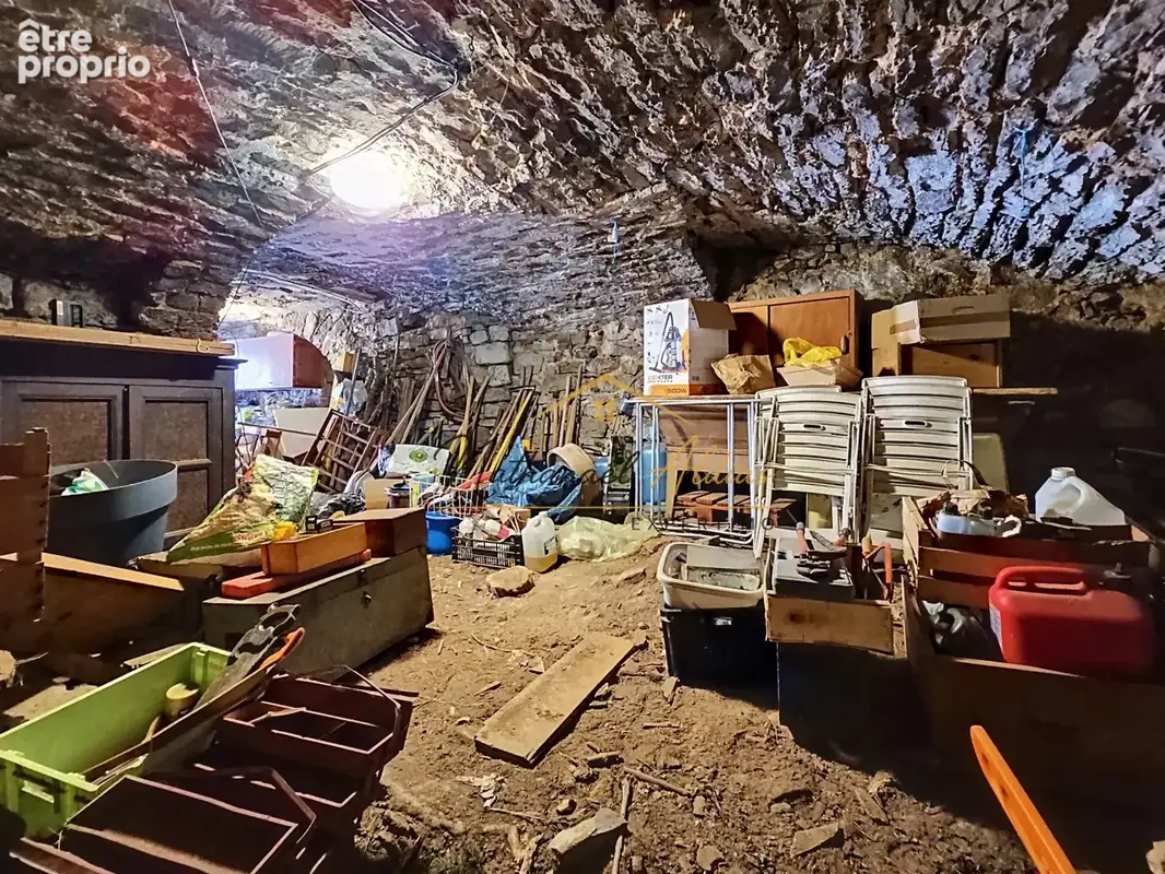 Maison avec terrasse et caves - photo 15