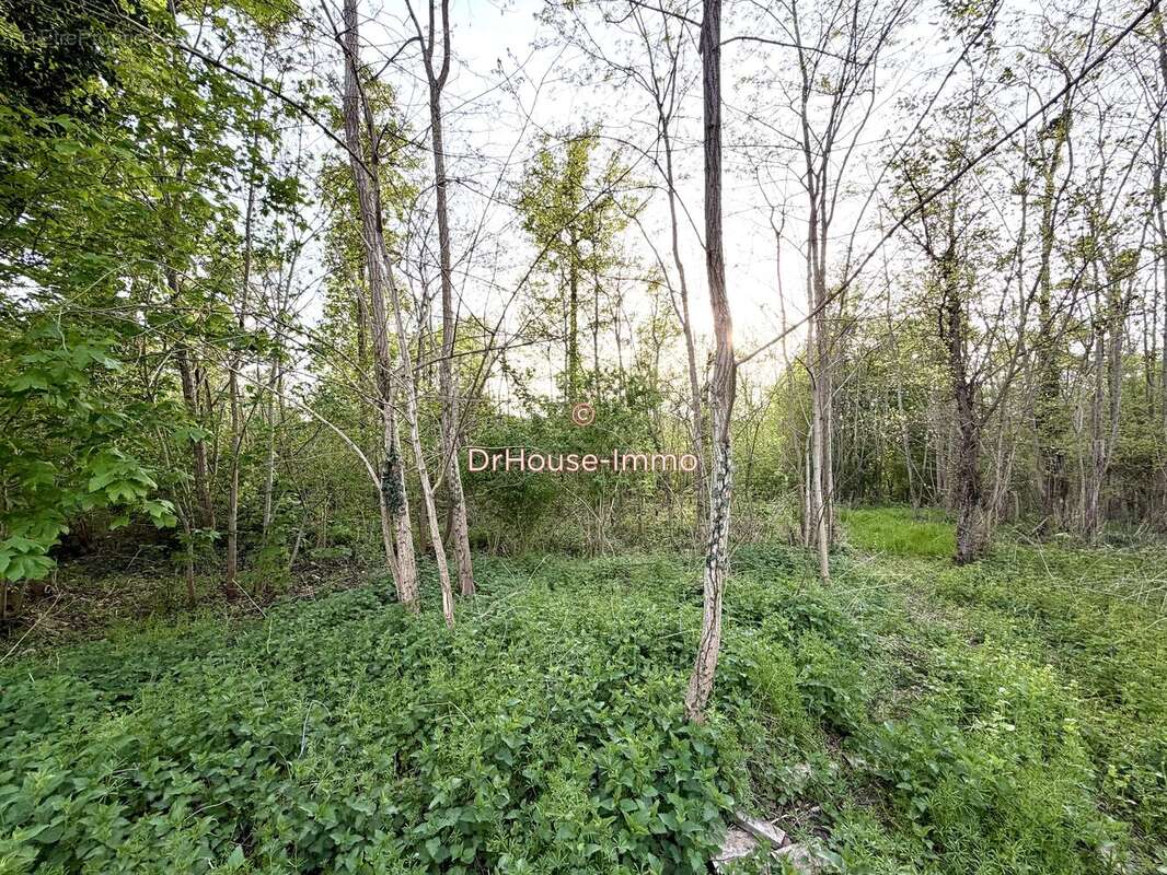 Terrain à FONTENAY-SUR-LOING