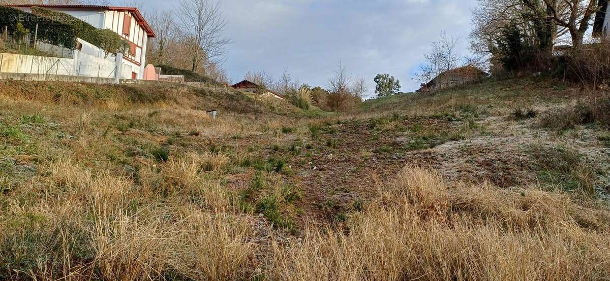 Terrain à SAINT-PEE-SUR-NIVELLE