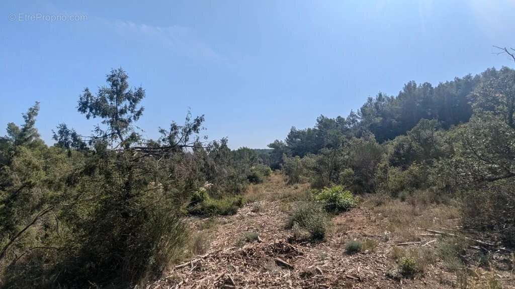 CARCES - Terrain 22.234m² en zone Naturelle - photo 8