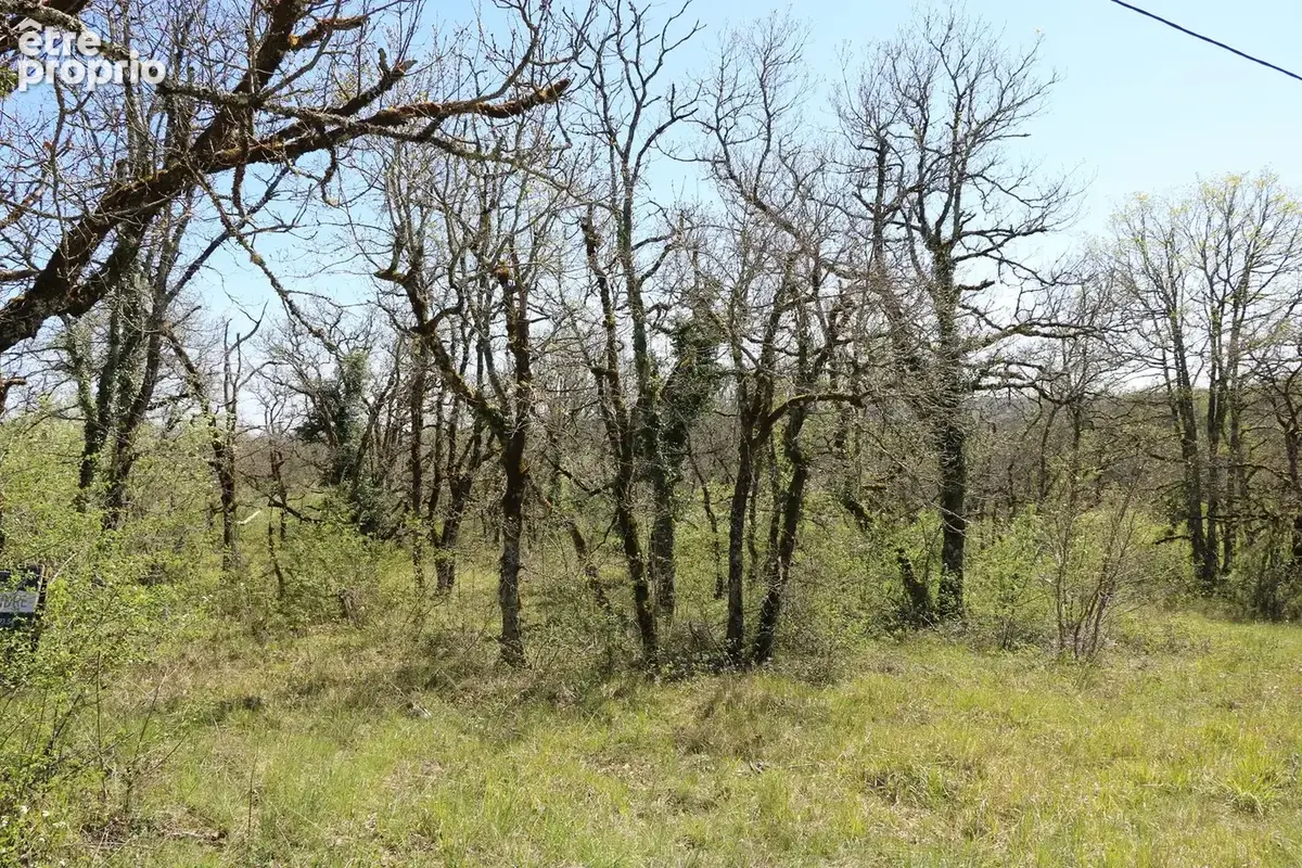 Terrain 2508 m² à La Dornac  - photo 4