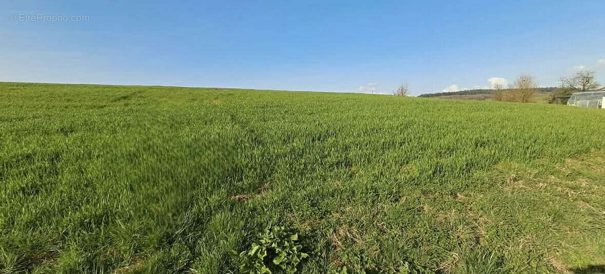 Terrain à VENDRESSE