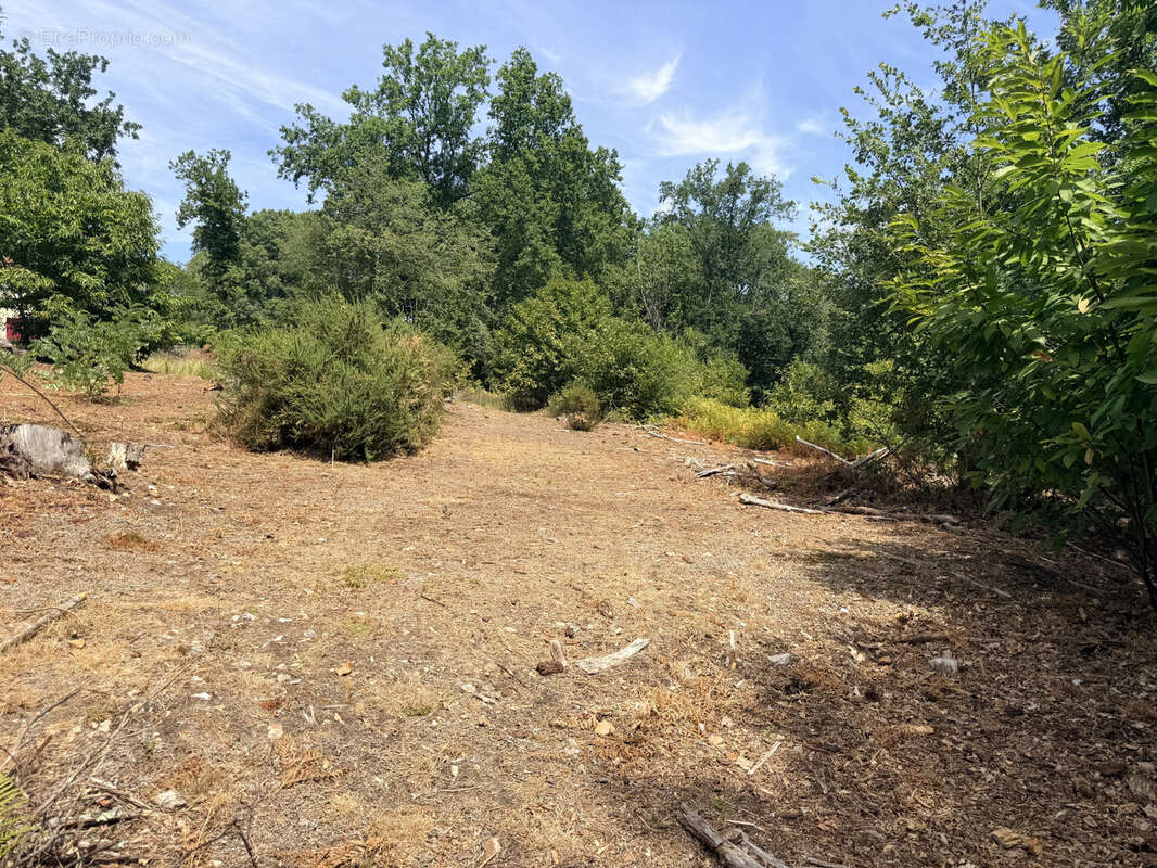 Terrain constructible de 1 360 m2 à Chancelade - photo 3