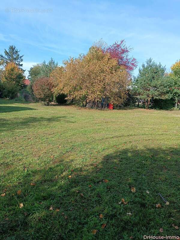 Terrain à CHATEAUROUX