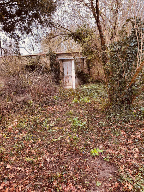 Terrain à JONCHERY-SUR-VESLE