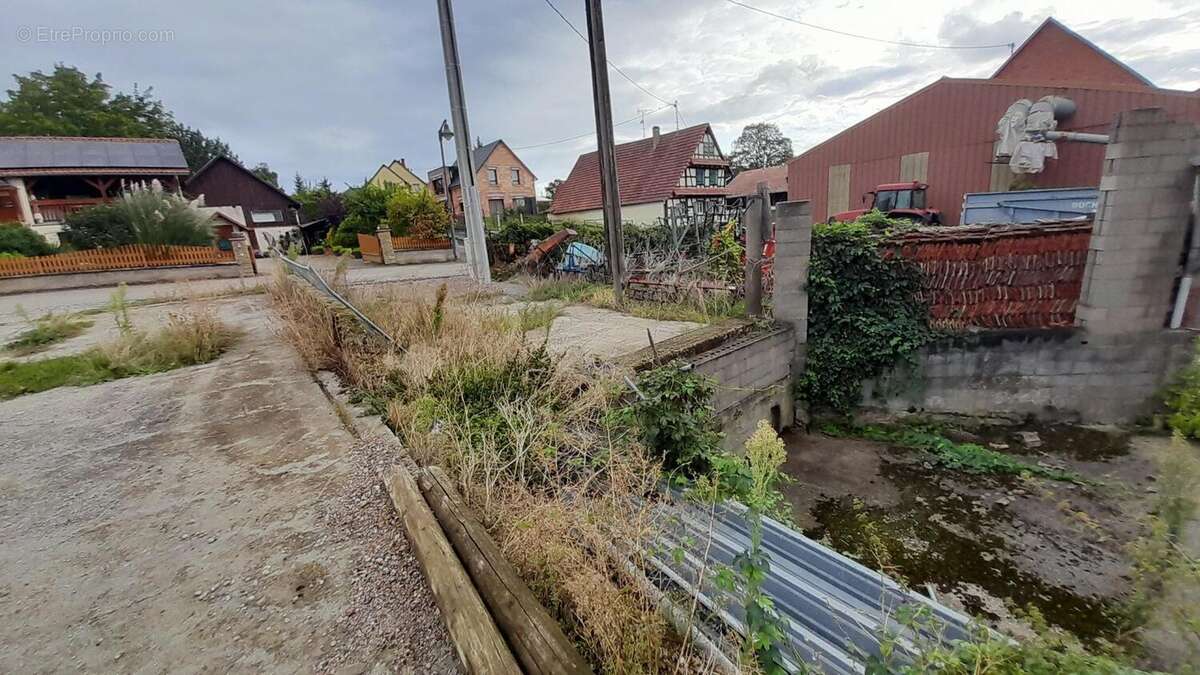 Photo 4 - Terrain à MITTELSCHAEFFOLSHEIM