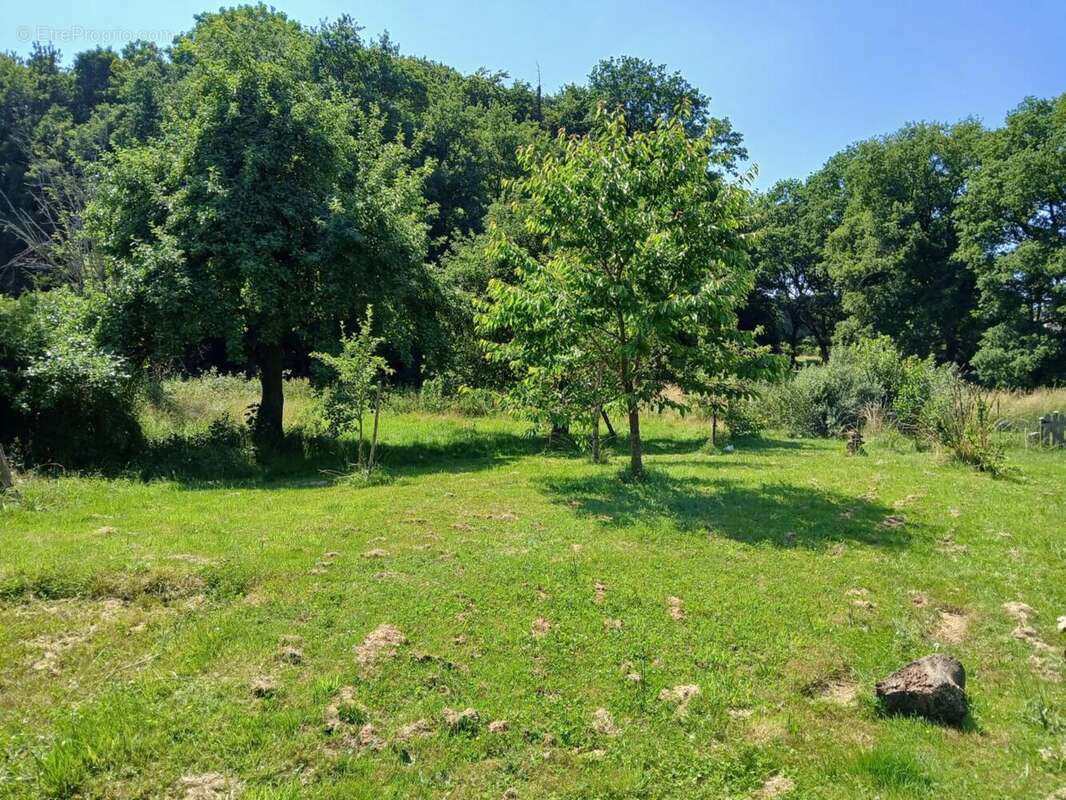 Photo 2 - Maison à ANDELNANS