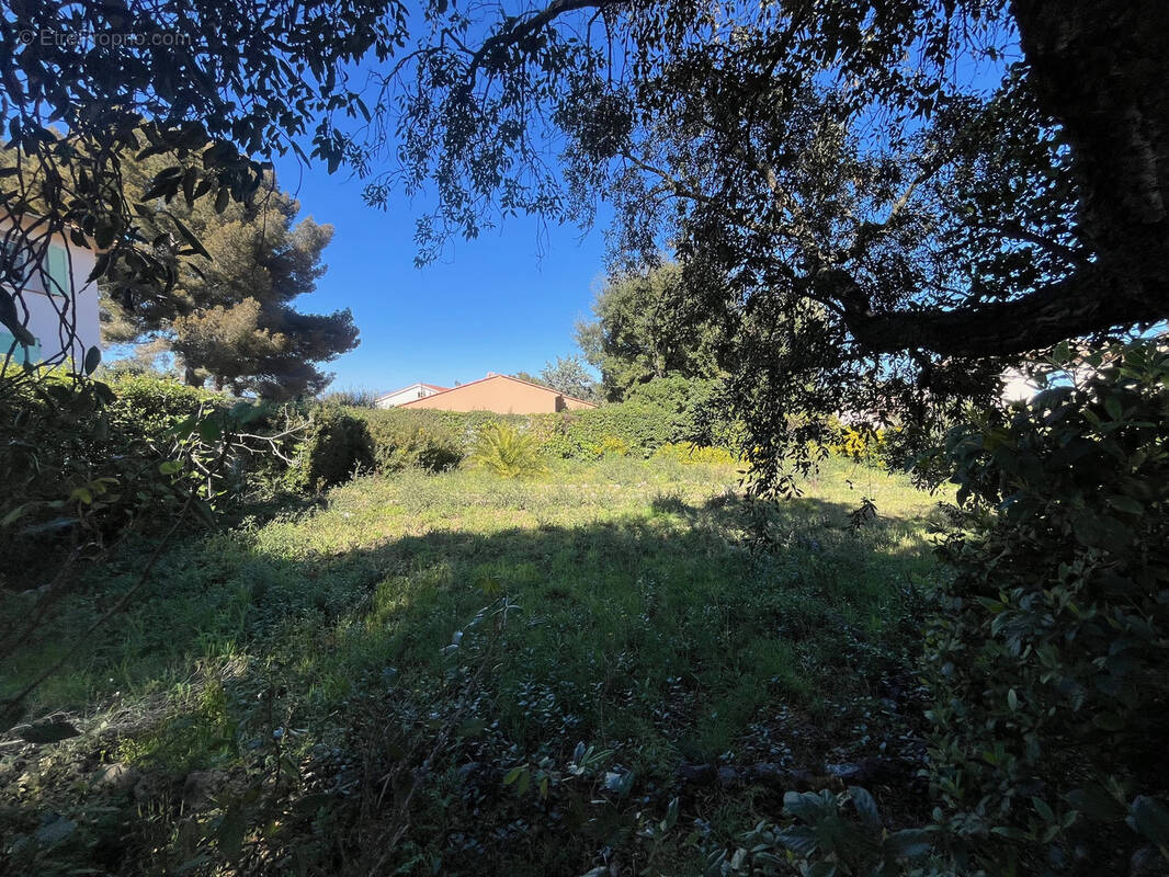 Terrain à FREJUS