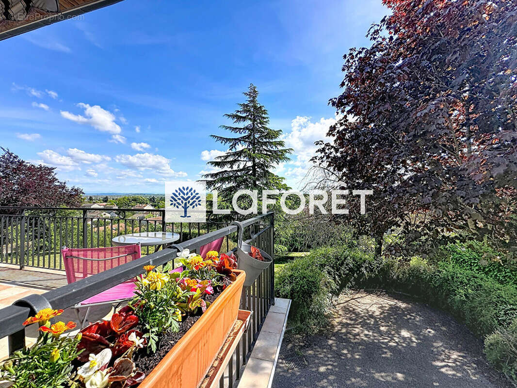 Maison hauteur Beynost - 110m² - 5 pièces - 1761m² de terrain - photo 6