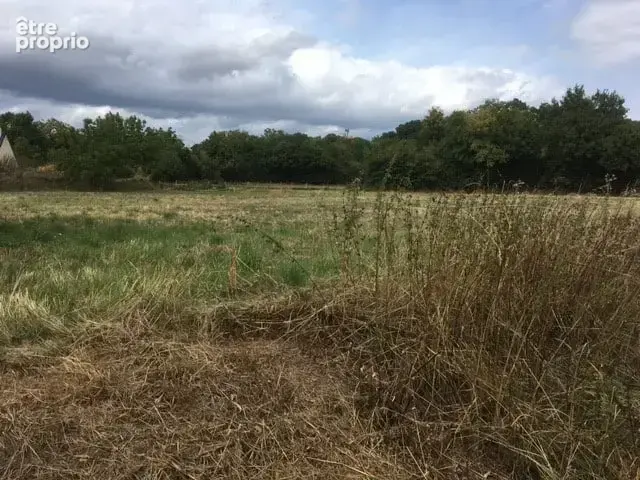 Photo Terrain à Saint-Eloy-De-Gy au prix de 35 000€