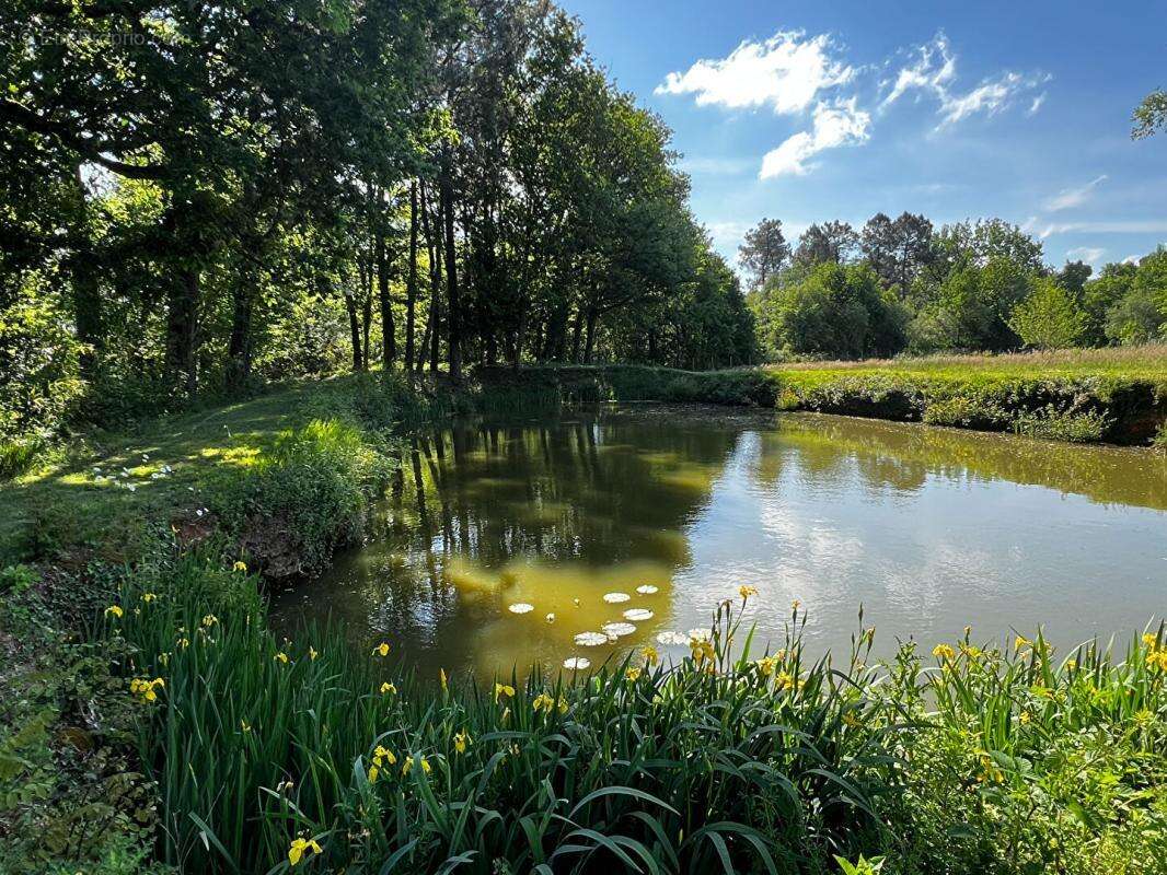 Maison à NOTRE-DAME-DE-SANILHAC