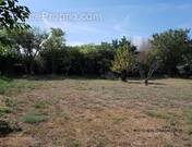 Terrain à SAINT-REMY-DE-PROVENCE
