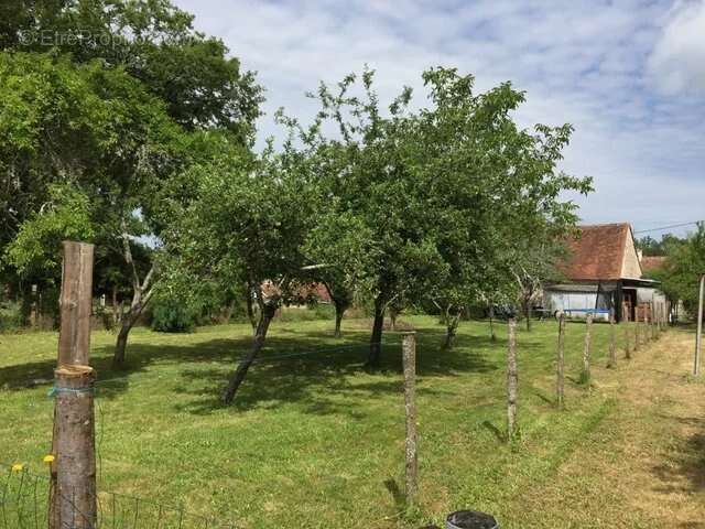 Maison 118 m² à Lussac-Les-Eglises  - photo 6
