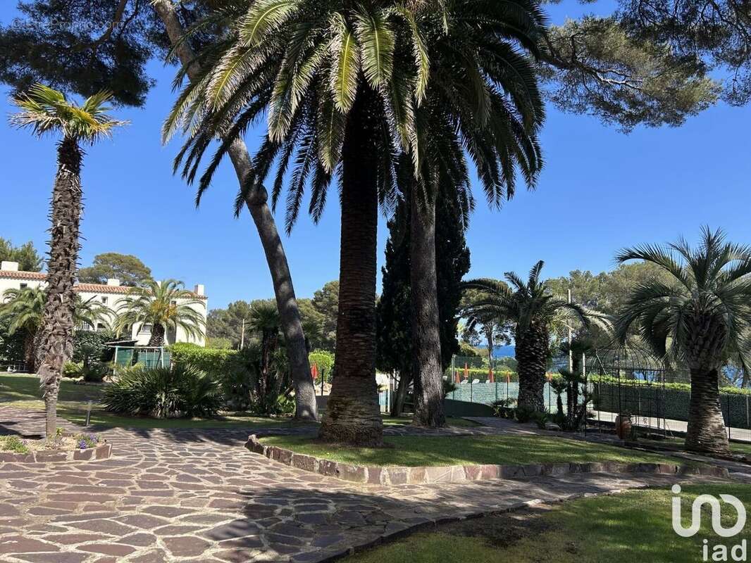 Photo 8 - Commerce à ROQUEBRUNE-SUR-ARGENS