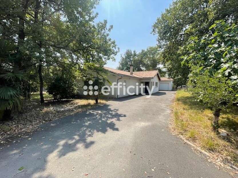 Maison à LE TAILLAN-MEDOC