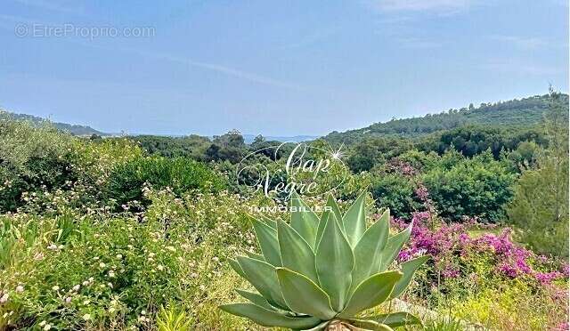 Maison à LE LAVANDOU