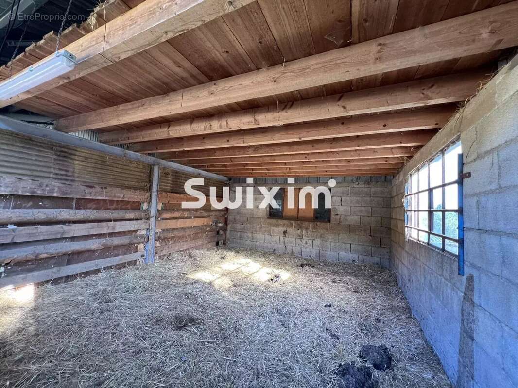 Maison 5 pièces 120 m² à vendre à Cressia (39270) - photo 7