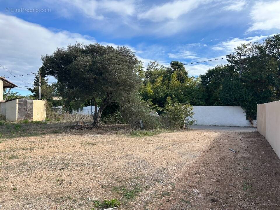 Terrain à MARSEILLAN
