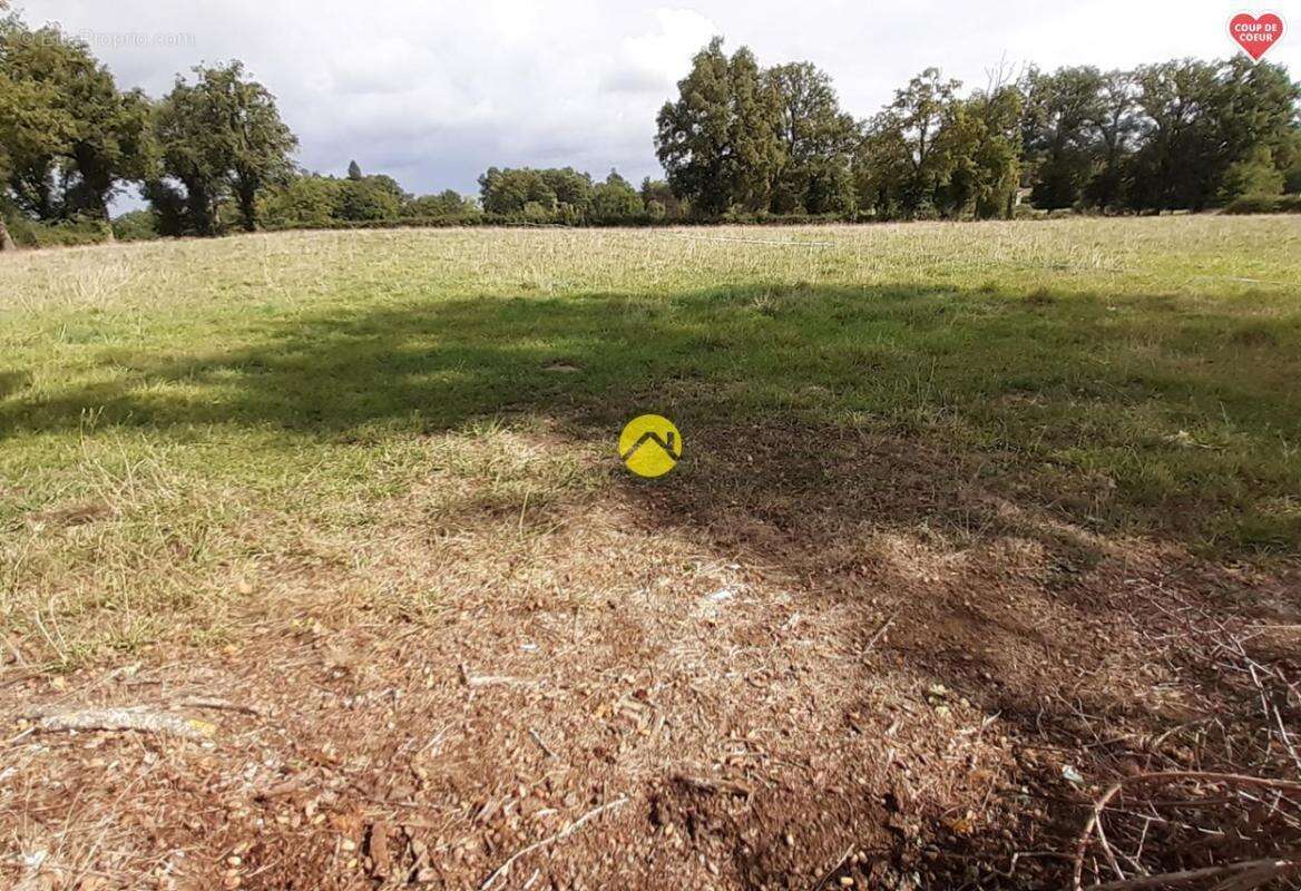 Terrain à SAINT-MARTINIEN