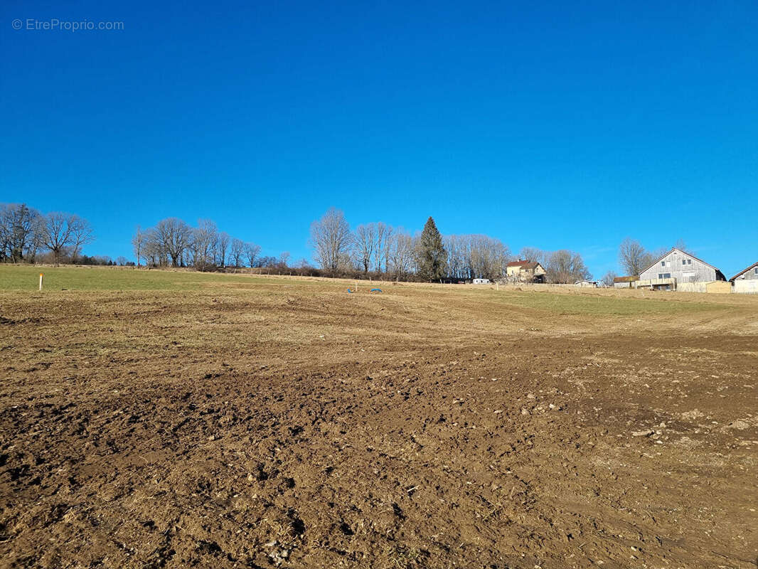 Terrain à LA LONGEVILLE