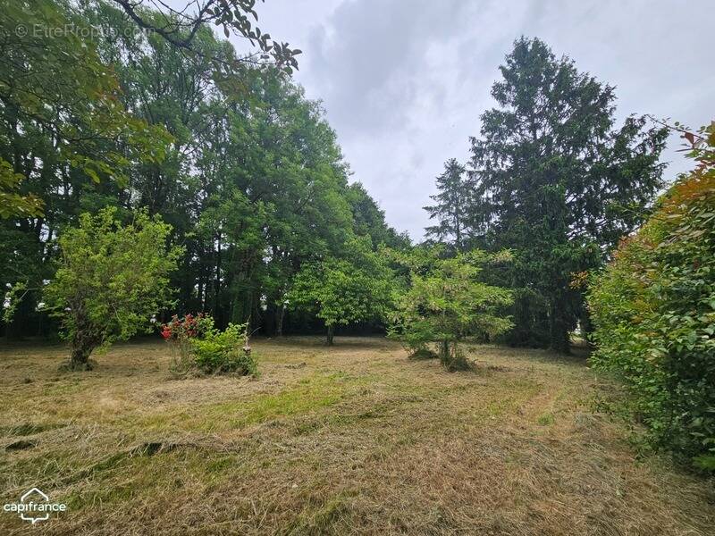 Terrain à POUZAUGES