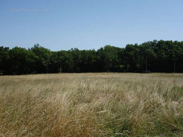 Maison à TOUFFAILLES