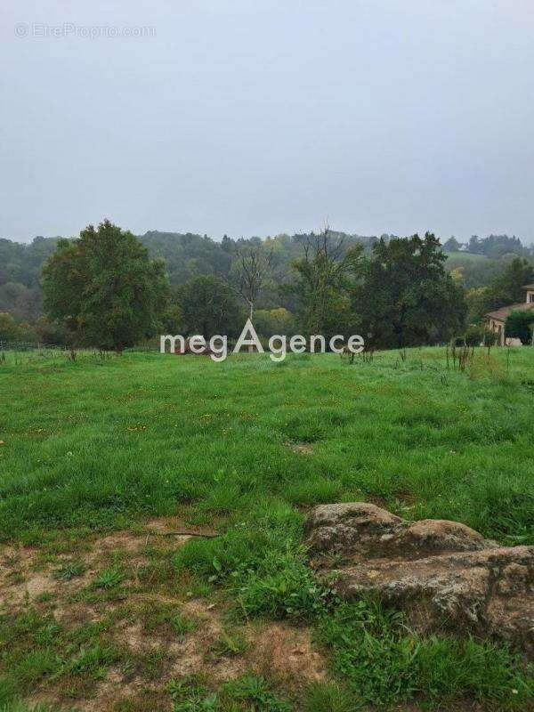 Terrain à CUSSET