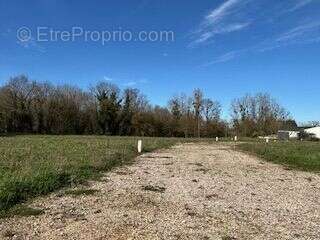 Terrain à MONTPELLIER-DE-MEDILLAN