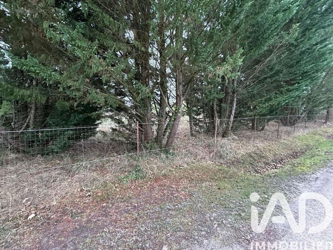 Photo 2 - Terrain à ROMORANTIN-LANTHENAY