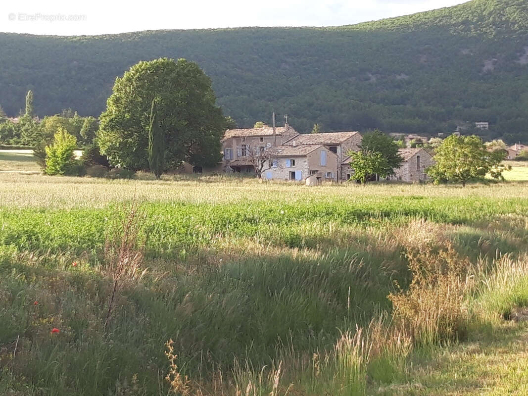 Corps de ferme authentique sur 1 hectare   À pied du village de Banon - photo 22