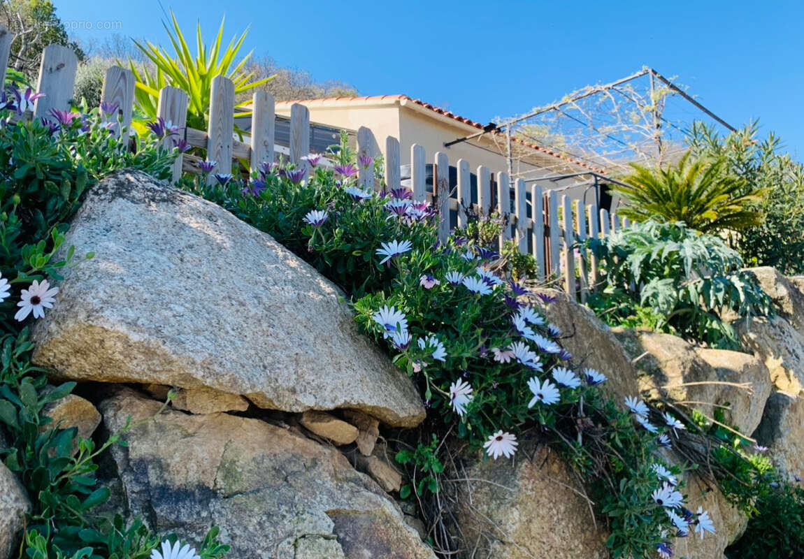 Maison à MURO