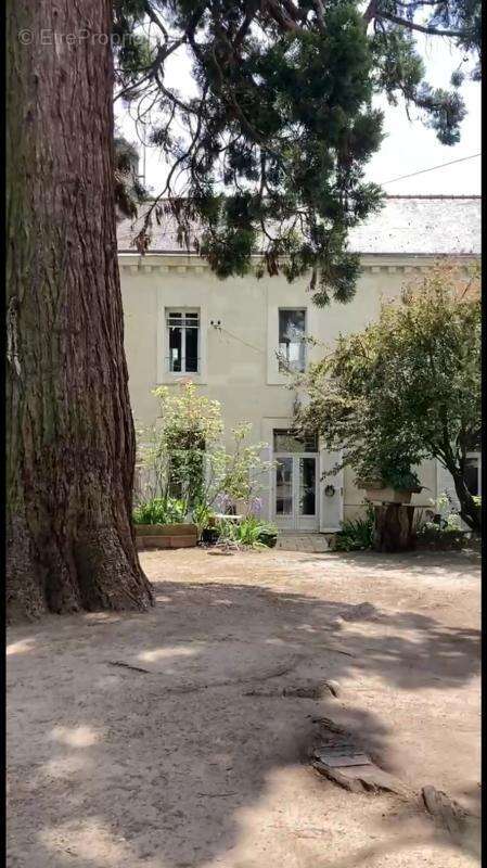Maison à LOUDUN