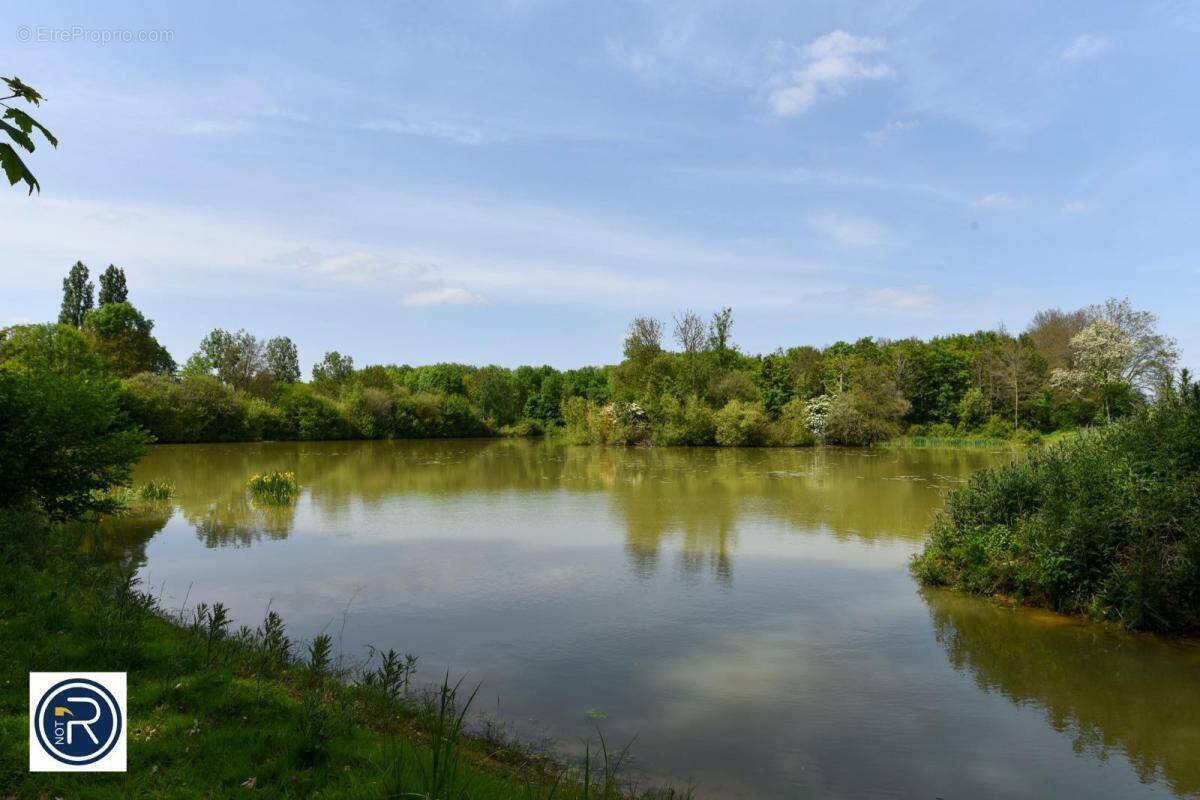 Maison à LA CHAPELLE-ANTHENAISE