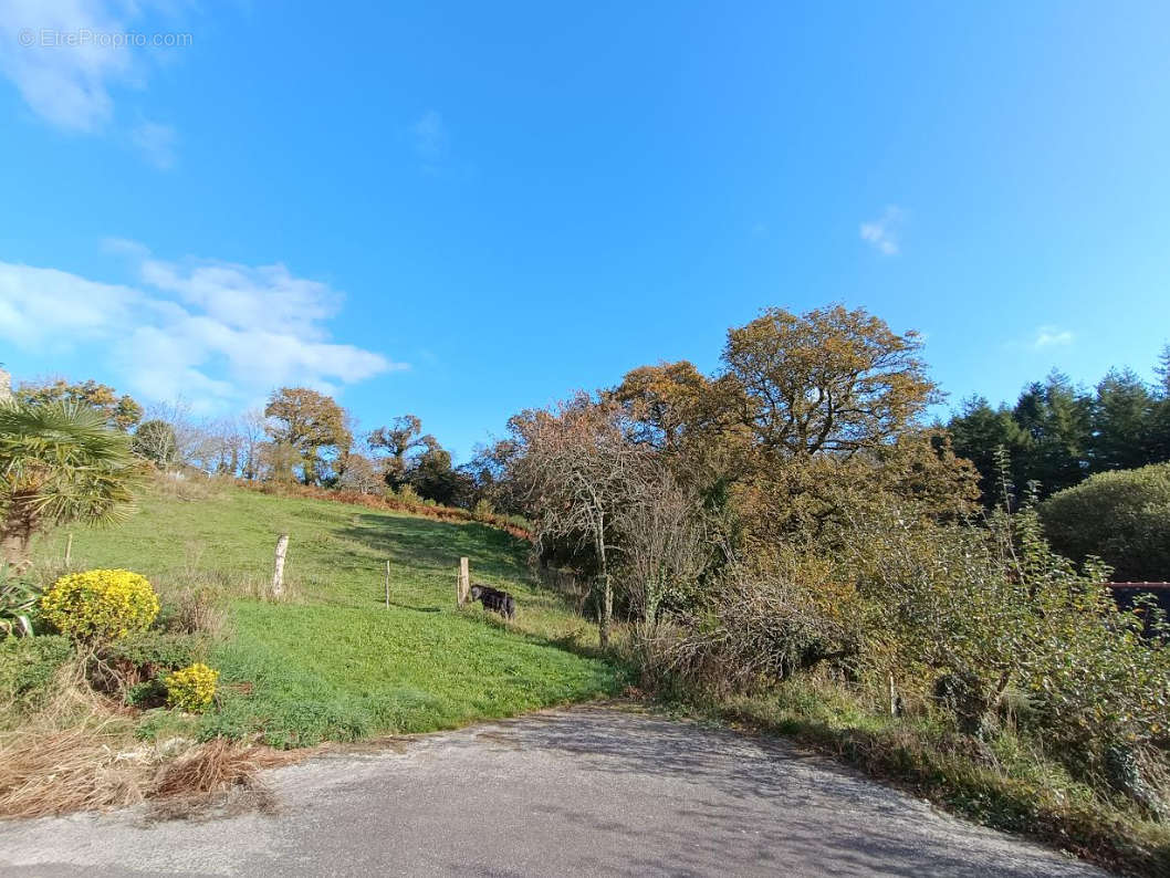 Maison à PLONEVEZ-DU-FAOU