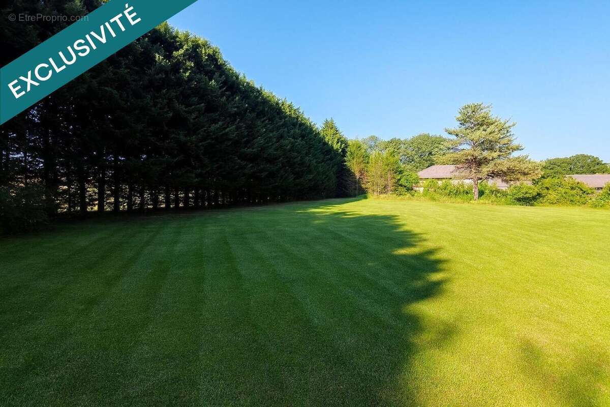 Terrain 3625 m² à Pierrepont  - photo 3