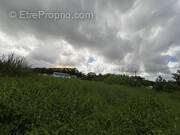 Terrain à PETIT-BOURG