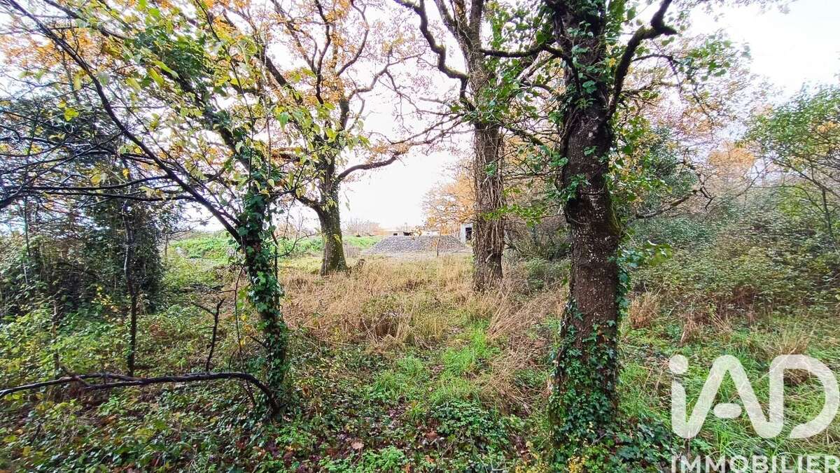 Photo 3 - Terrain à LES SORINIERES