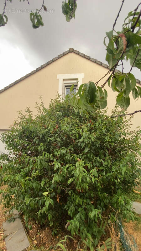 Pavillon individuel de 170 m2 habitables avec jardin - photo 14
