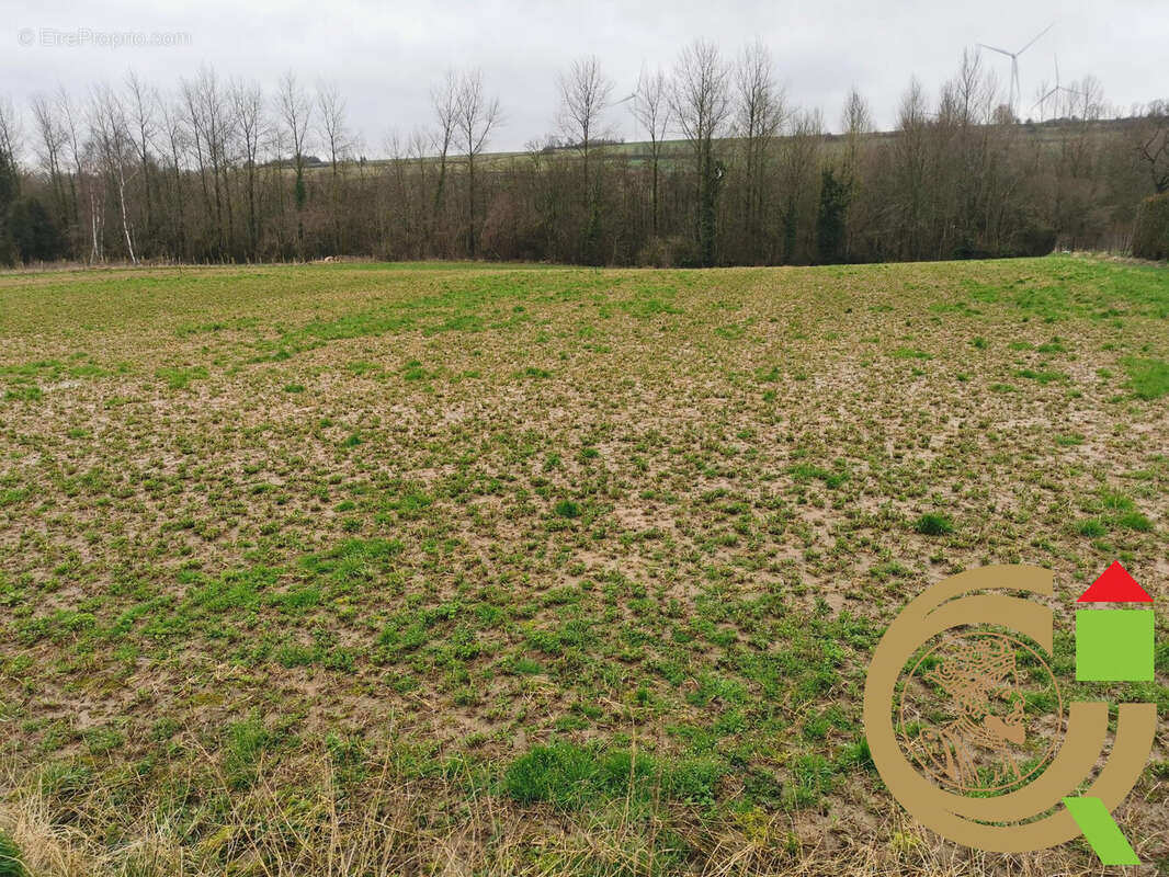 Terrain 1300 m² à Ligny-Sur-Canche  - photo 4