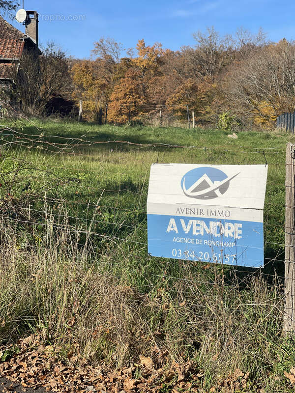 Terrain à PLANCHER-BAS