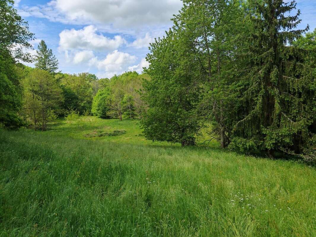 IMG20250506113800 - Maison à LIMOGES