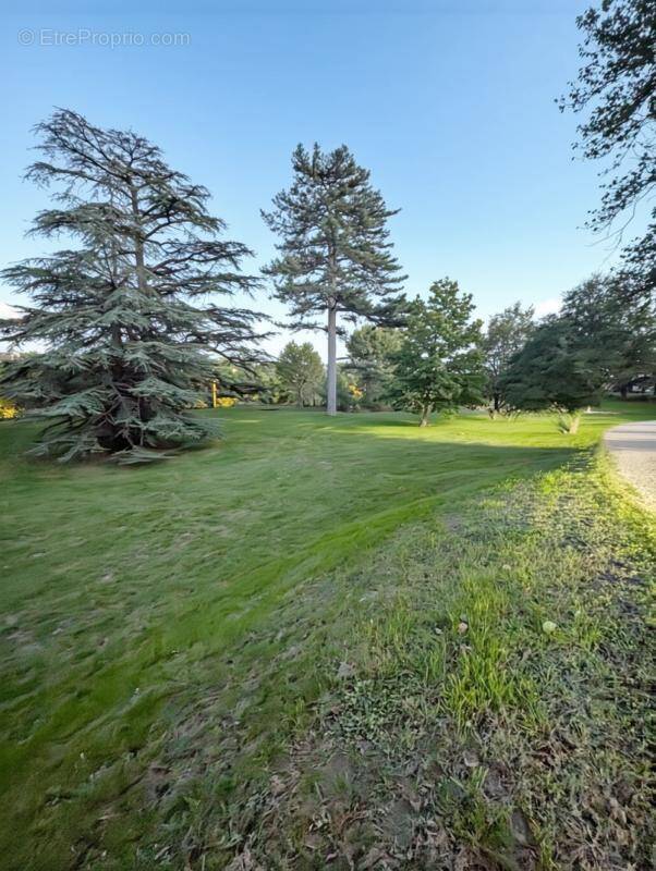 Appartement à IRIGNY