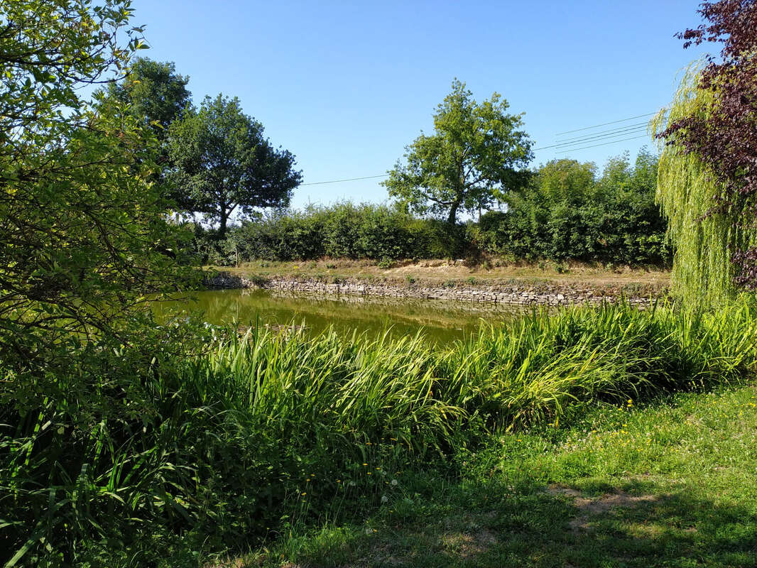 Belle propriété sur la commune de Loiré à 15 minutes de Segré - photo 16